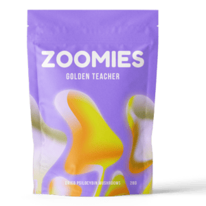 Golden Teacher | Micro Zoomiez Canada