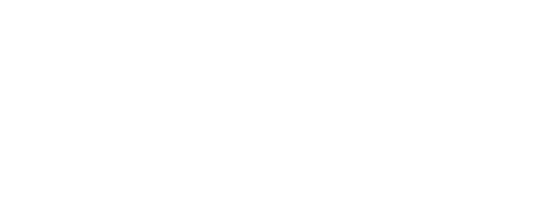 Micro Zoomiez Canada