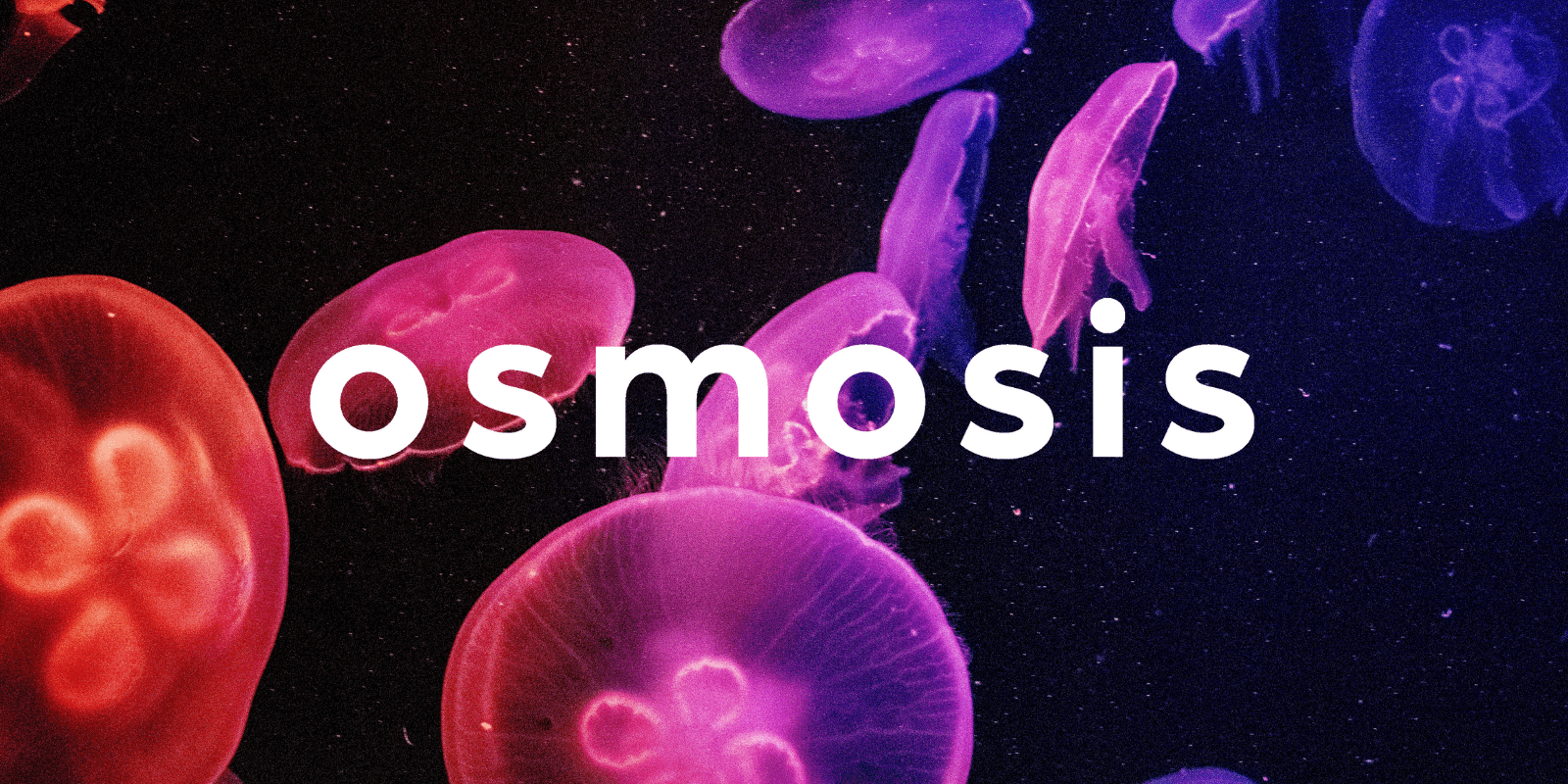 Zoomies osmosis banner | Micro Zoomiez Canada
