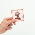 Wonder – Psilocybin Chocolate Bar – Blood Orange | Micro Zoomiez Canada