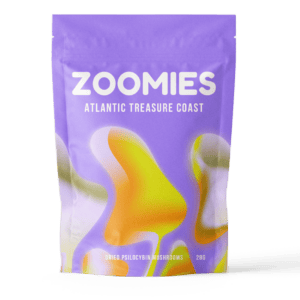 Atlantic Treasure Coast | Micro Zoomiez Canada