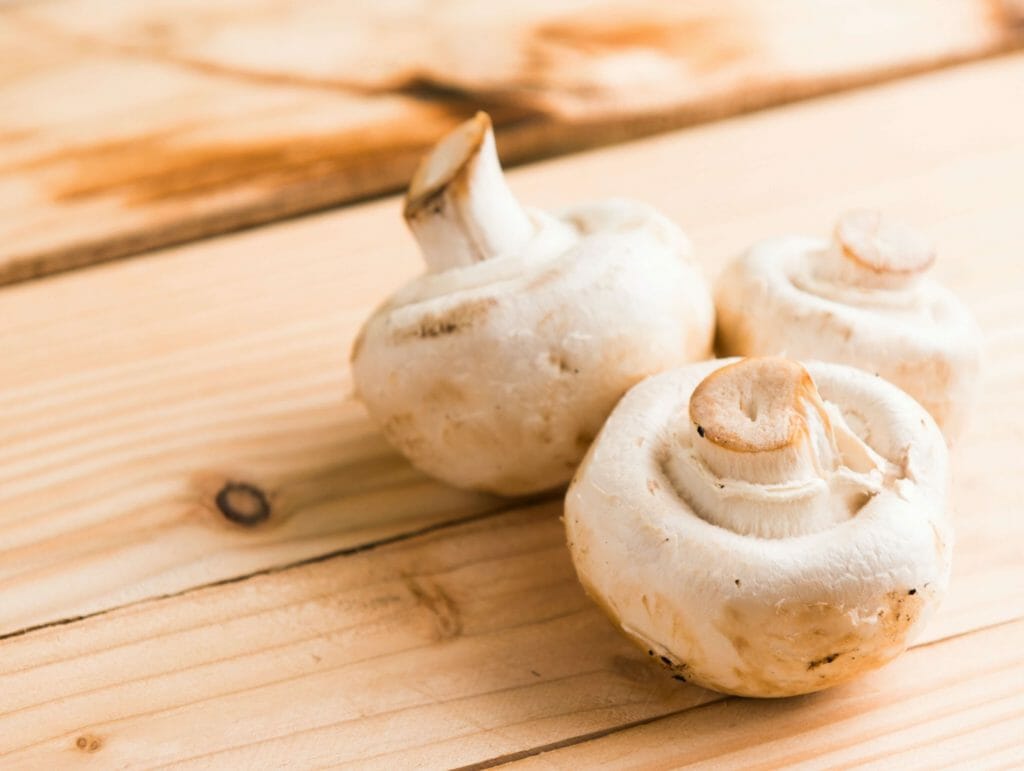 Buy Shrooms Online at Micro Zoomiez Canada
