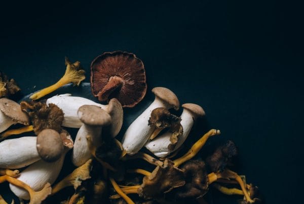 Dried Shrooms