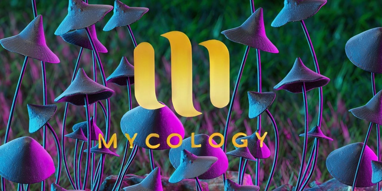 Zoomies Summer 2023 Banner - Mycology | Micro Zoomiez Canada