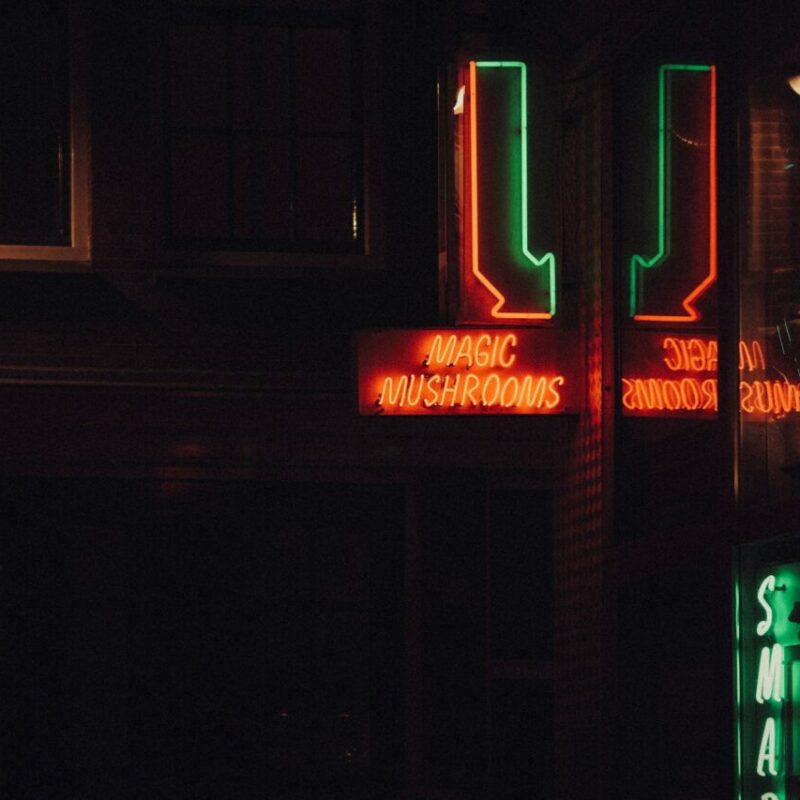 Mushroom Dispensary Vancouver | Micro Zoomiez Canada