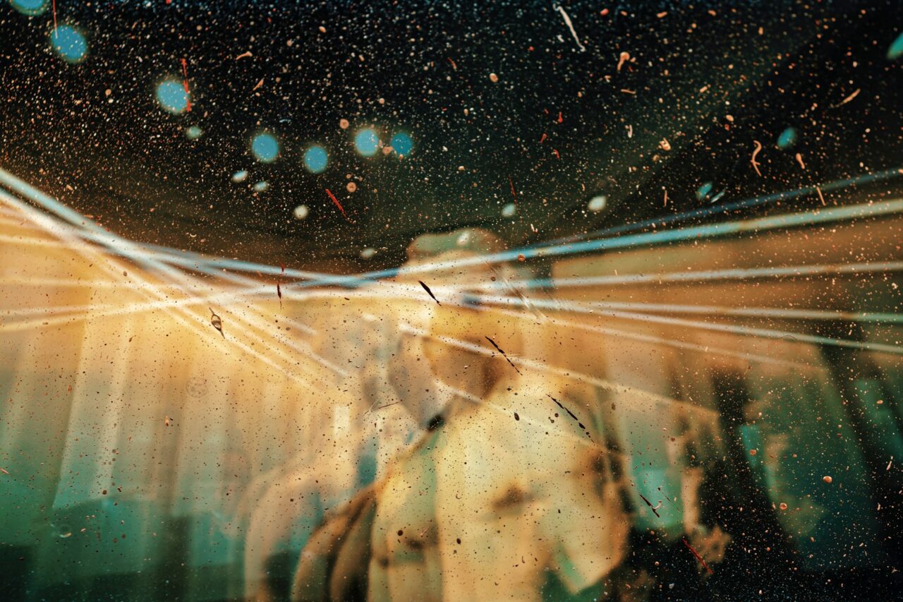 Canadian Doctor Maps His Brain While On Magic Mushrooms: ‘I Ventured Into The Unusual’
